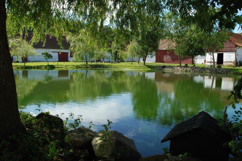 Bed and Breakfast Domaine De Collen Lepine  Екстер'єр фото